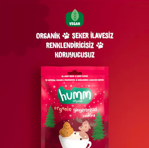 Humm OrganicOrganik Vegan Zencefilli ve Tarçınlı Kurabiye - 55g