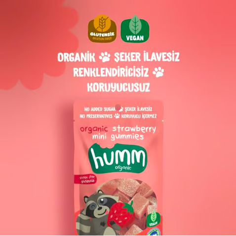 Humm OrganicOrganik Glutensiz Vegan Çilekli Mini Küpler - 30g